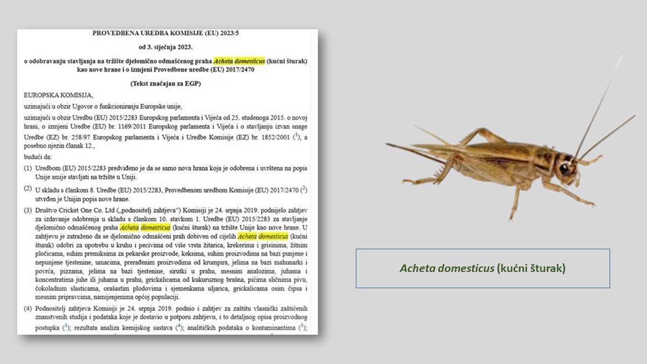 DEMOKRATSKI HSS: EU ozakonjuje „novu hranu“, pa ćemo uskoro na policama trgovačkih lanaca imati „praškaste kukce“ Acheta domesticus (kućni šturak)