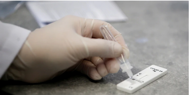 Beč od idućeg tjedna stanovnicima dijeli besplatne kućne testove na covid