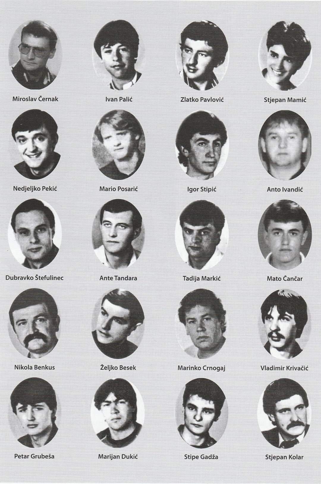 DOMOLJUBNA POEZIJA: Dubravka Vukoja - BJELOVARSKIM VITEZOVIMA