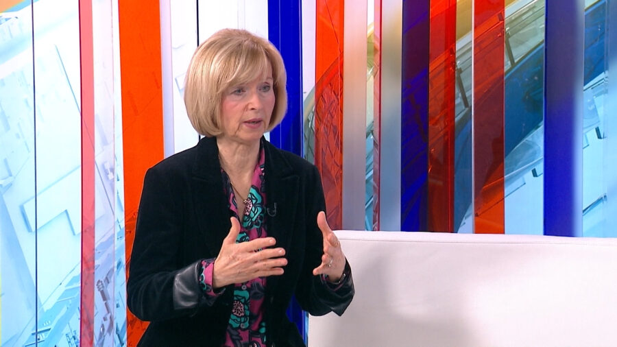 Leinert Novosel: “Ovo su prvi simptomi Milanovićevih ambicija za drugi mandat”