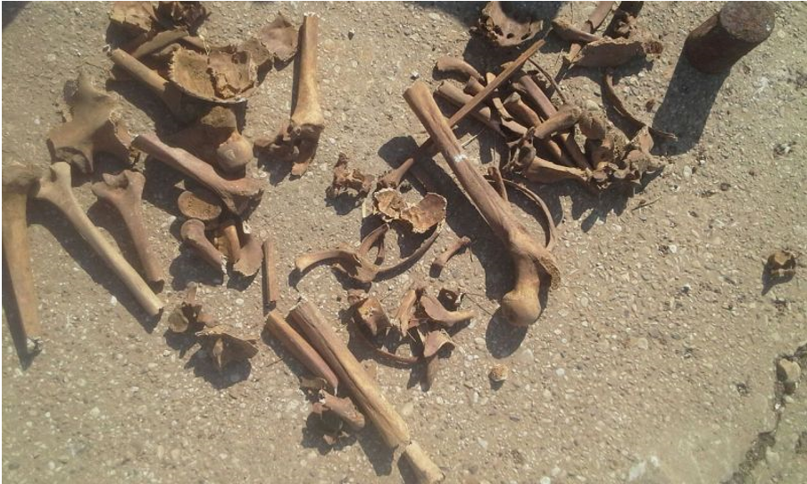 Manipulacije žrtvama Drugog svjetskog rata i mit o Jasenovcu