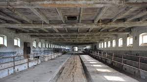 NISU ZABORAVLJENI  Putevima pakla srpskih koncentracijskih logora: Ništa nije bilo slučajno, sve je isplanirao vrh JNA