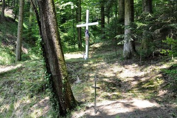 Mladen Pavković: Tko je i kada amnestirao Brozove zločine i  zločince?