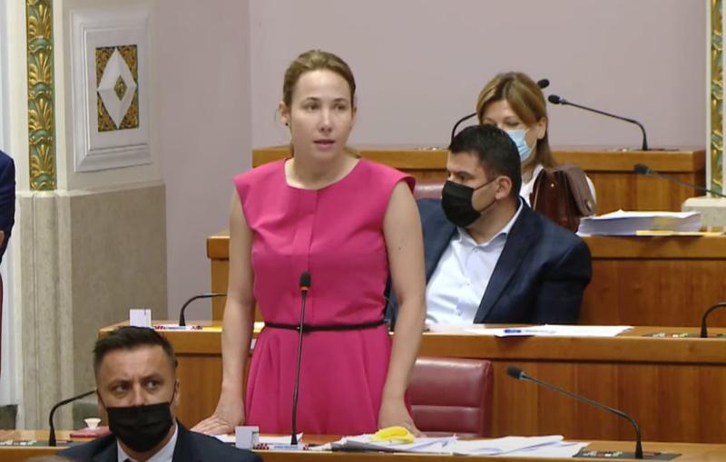 Selak Raspudić o Đuđević: Problematično je prešućivanje slučaja Perković