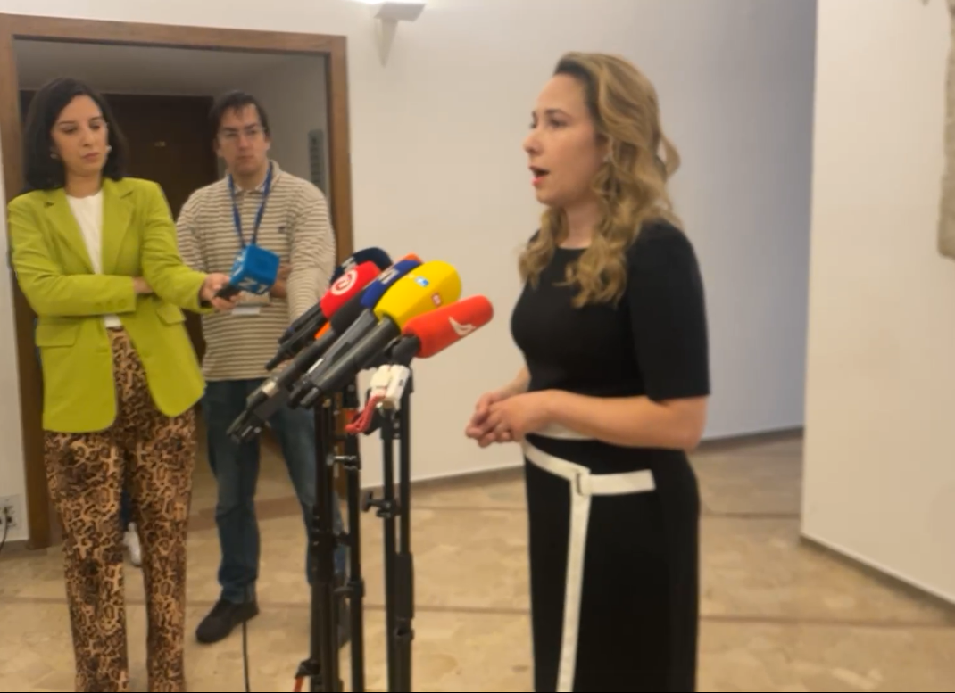 Selak Raspudić potvrdila razilaženje s Mostom: Nismo uspjeli razriješiti nesuglasice