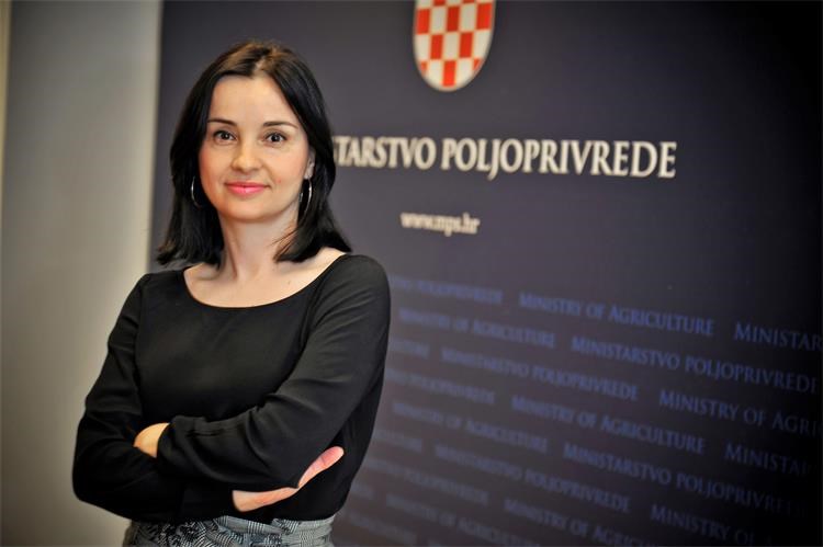 VUČKOVIĆ KOMENTIRALA TOLUŠIĆA: Otkrila i neke nepoznate detalje! ‘Dva su mu natječaja odbijena, govorio je i o nekim pritiscima’