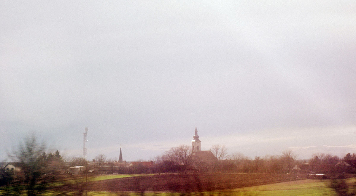 Kod Mirkovaca ekshumirani posmrtni ostaci dvije osobe