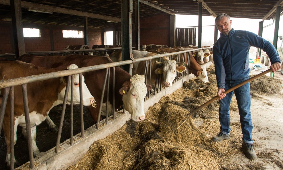 Proizvodnja mlijeka opet pala, farmer iz Drenovaca poručuje: Svi bježe od toga!