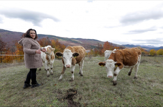 SRAMOTNE PRIJEVARE! Pod krinkom ‘mlijeka hrvatskih farmi’ prodaje se…pogledajte što…