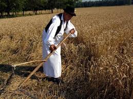 DOMOLJUBNA POEZIJA Katica Pavkić Špiranec: MOJOJ SLAVONIJI