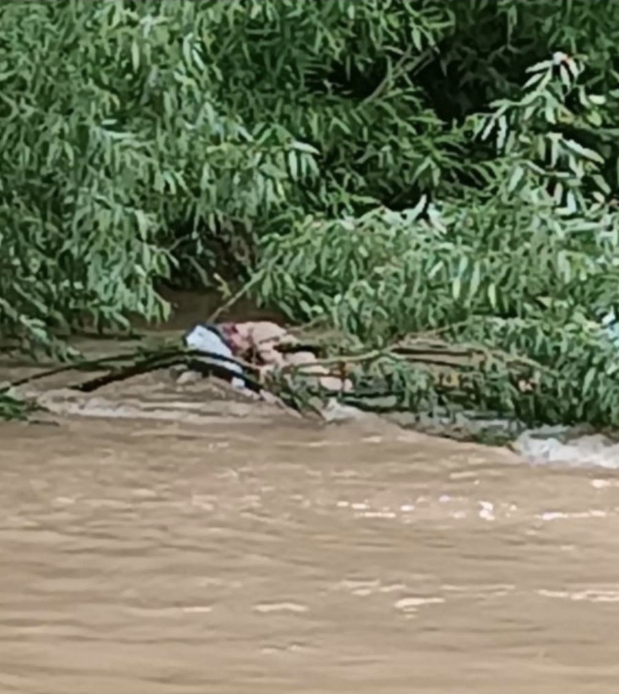 Novinari pronašli truplo: ‘Šokirali smo se’