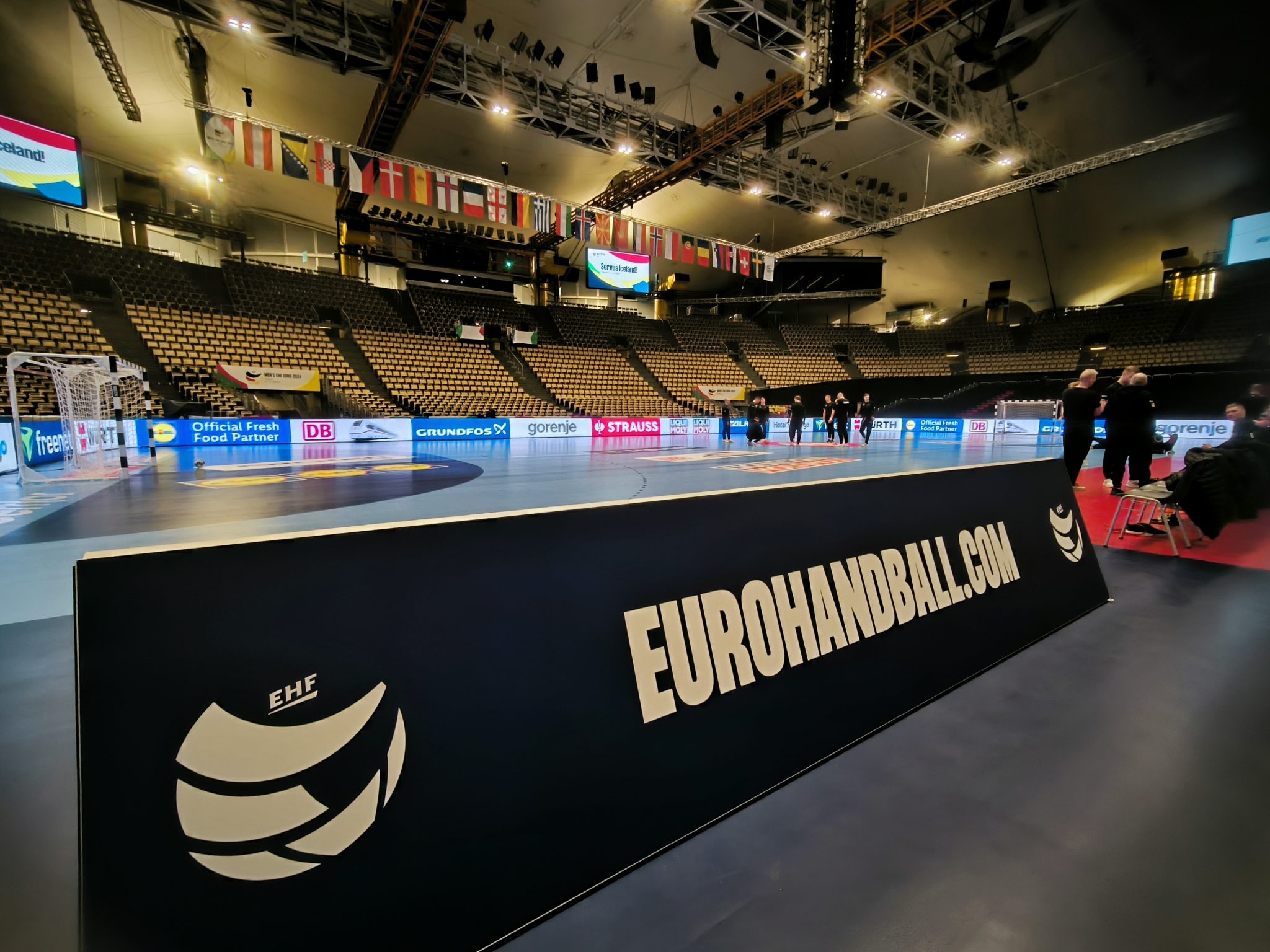 Danci se mučili protiv čvrste Češke pa demonstrirali silu. BiH izgubila od moćne Švedske...