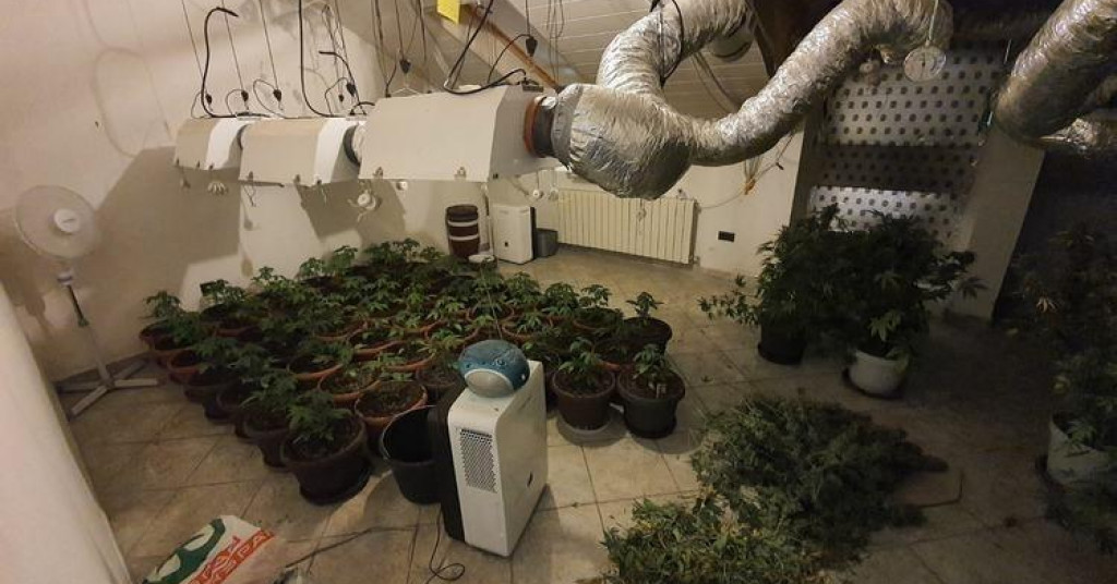 Srpski narkobos osnovao firmu znakovitog naziva na adresi HDSSB-ovke iz Vukovara