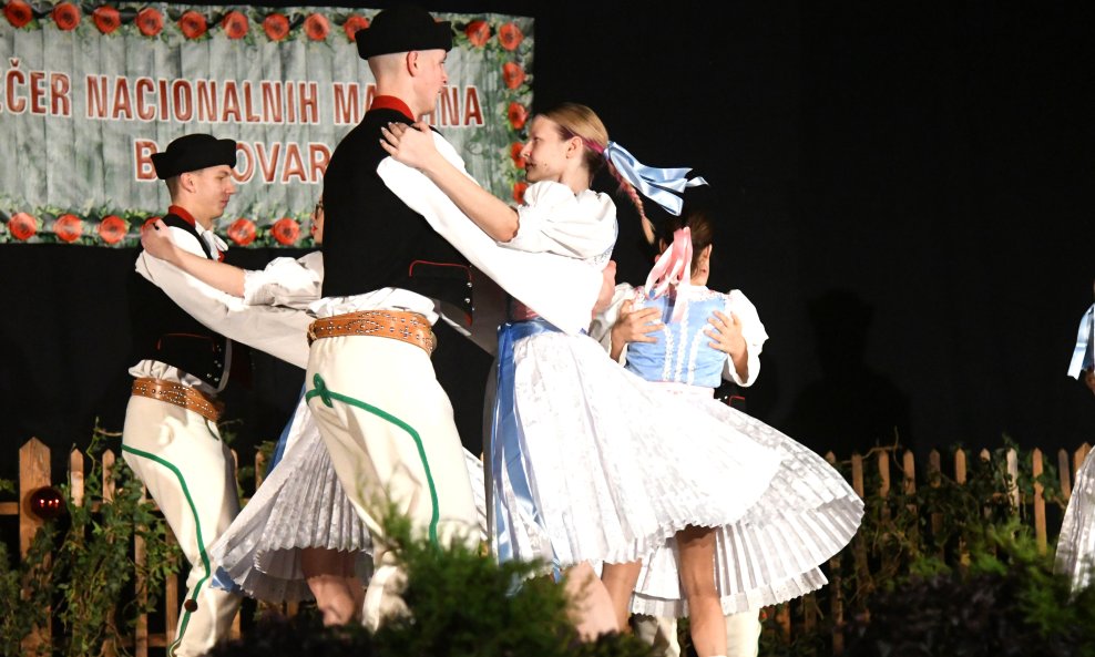 Talijani, pa Srbi, pa ostali: Koliko novca su ove godine dobile manjine