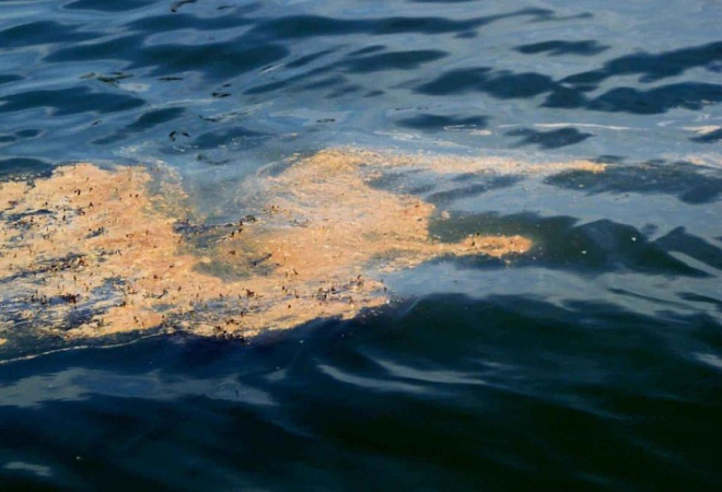 VELIKA NAFTNA MRLJA KREĆE SE MEDITERANOM: Krenula je iz rafinerije, sumnja se da su pokušali zataškati razmjere katastrofe!