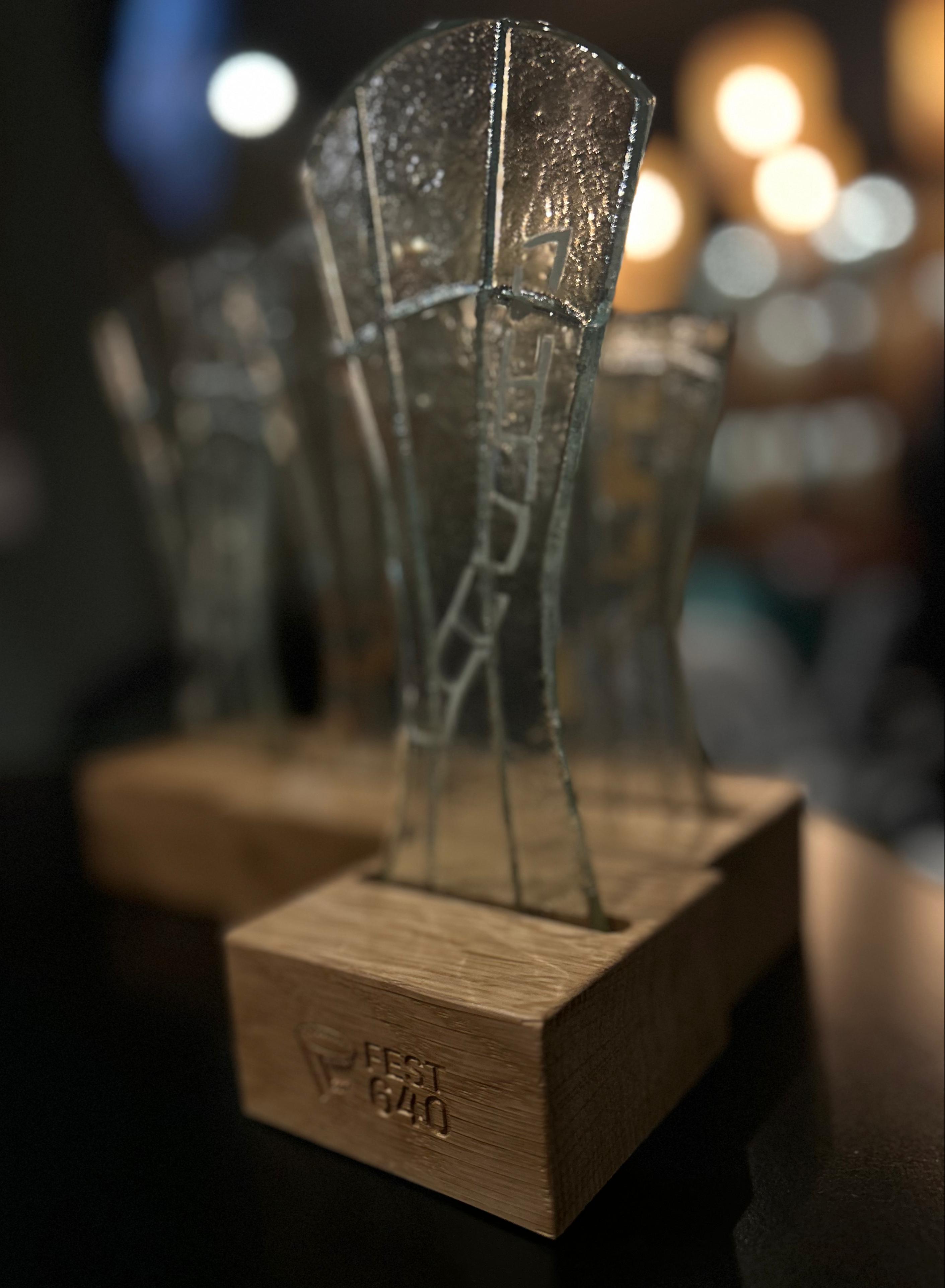 Najava festivala FEST 640 na N1 TV