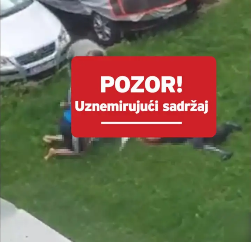 Horor u Varaždinu: Bul terijeri ozlijedili ženu i njenog psa