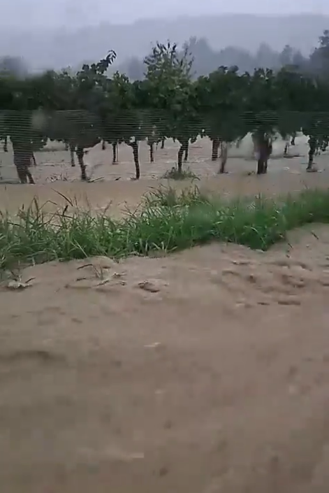 Nevrijeme poharalo Umag: 15 dojava o poplavama, meteorolozi najavljuju nove oluje