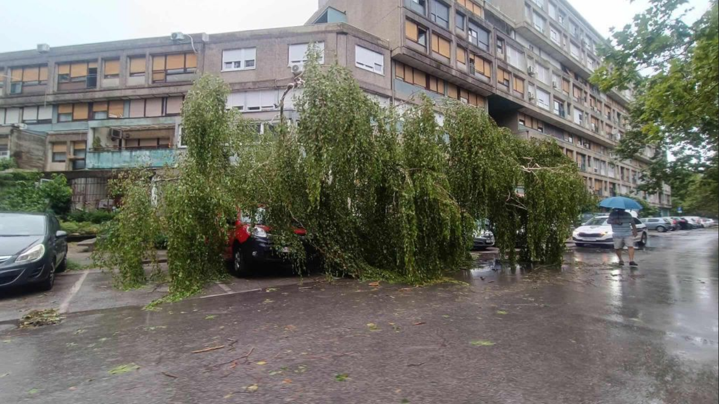 Snažno nevrijeme pogodilo Zagreb: U Travnom i Dugavama čupalo stabla i uništavalo automobile
