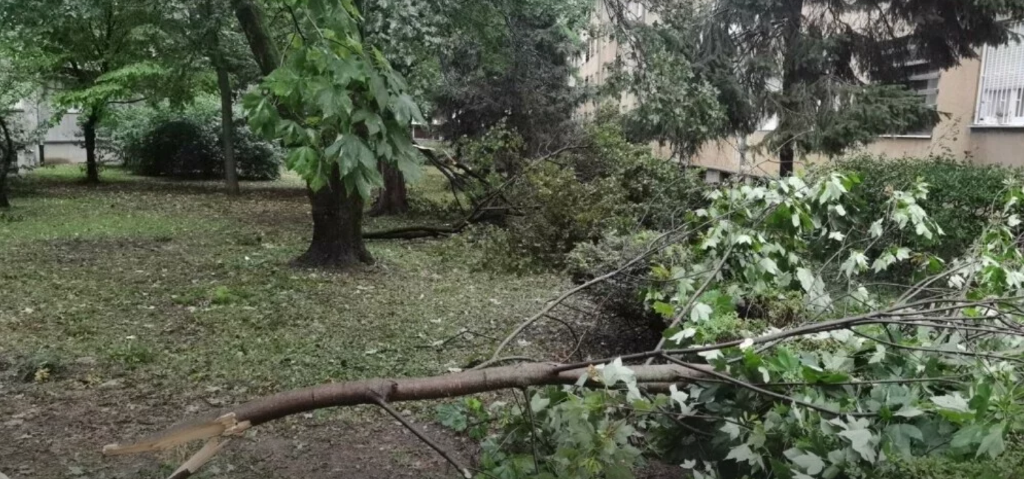 Građani u Zagrebu upozoreni da izbjegavaju parkove zbog opasnosti