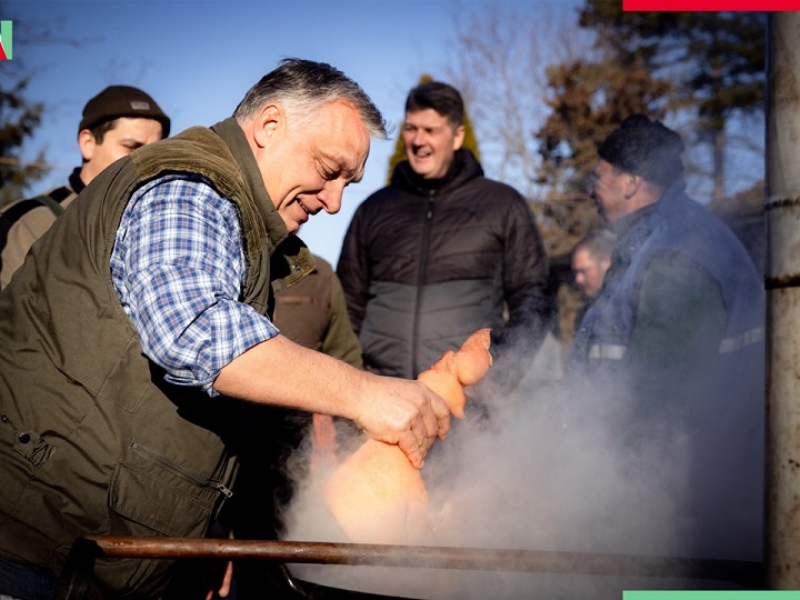 TKO JE ZAPRAVO VOĐA? Usred svinjokolje obračun među vođama seljaka: Pokrovac tvrdi da je šef, drugi da je izbačen. ‘Helou kume, nisi ok’