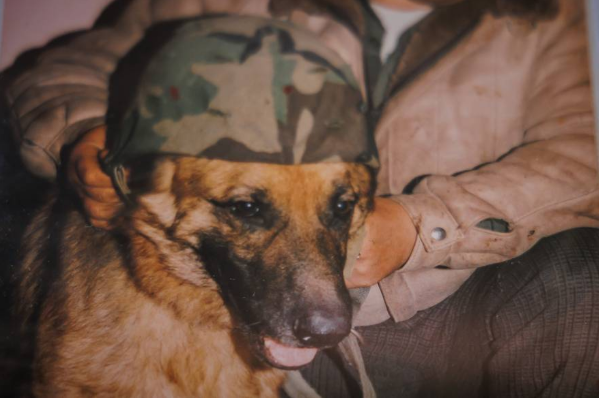 Suborac na četiri noge: priča o Rexu, psu junaku Domovinskog rata