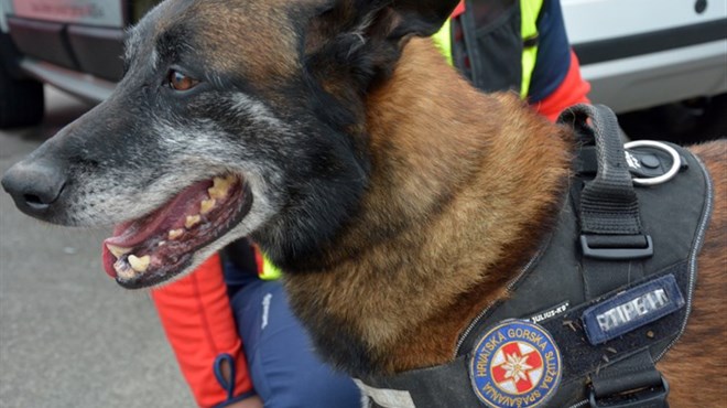 POTVRĐENO: DJEČAK LOVRE IZVAN ŽIVOTNE OPASNOSTI!