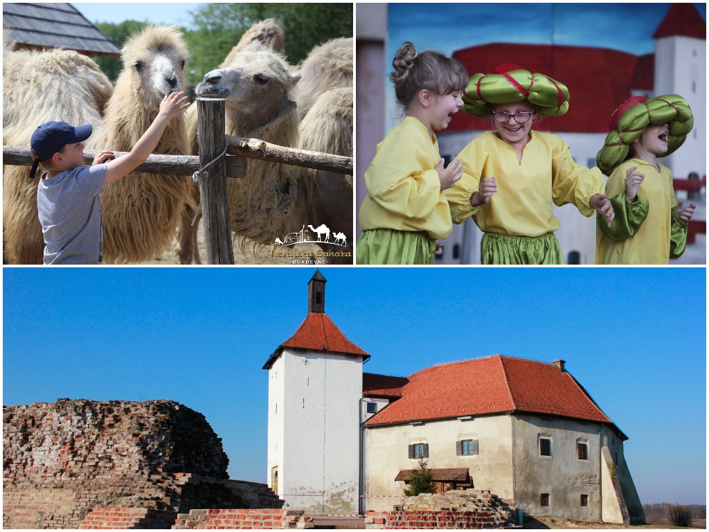 Pred nama je vikend Picokijade, najveće kontinentalne manifestacije: pogledajte detaljan program