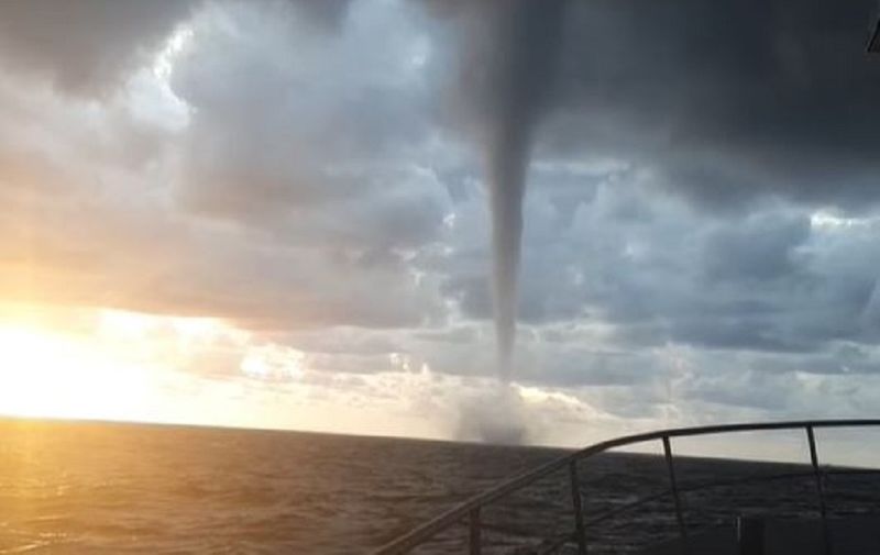 Fascinantna snimka pijavice na moru kod Dubrovnika: 'Bila je ogromna. Trajala je desetak minuta'