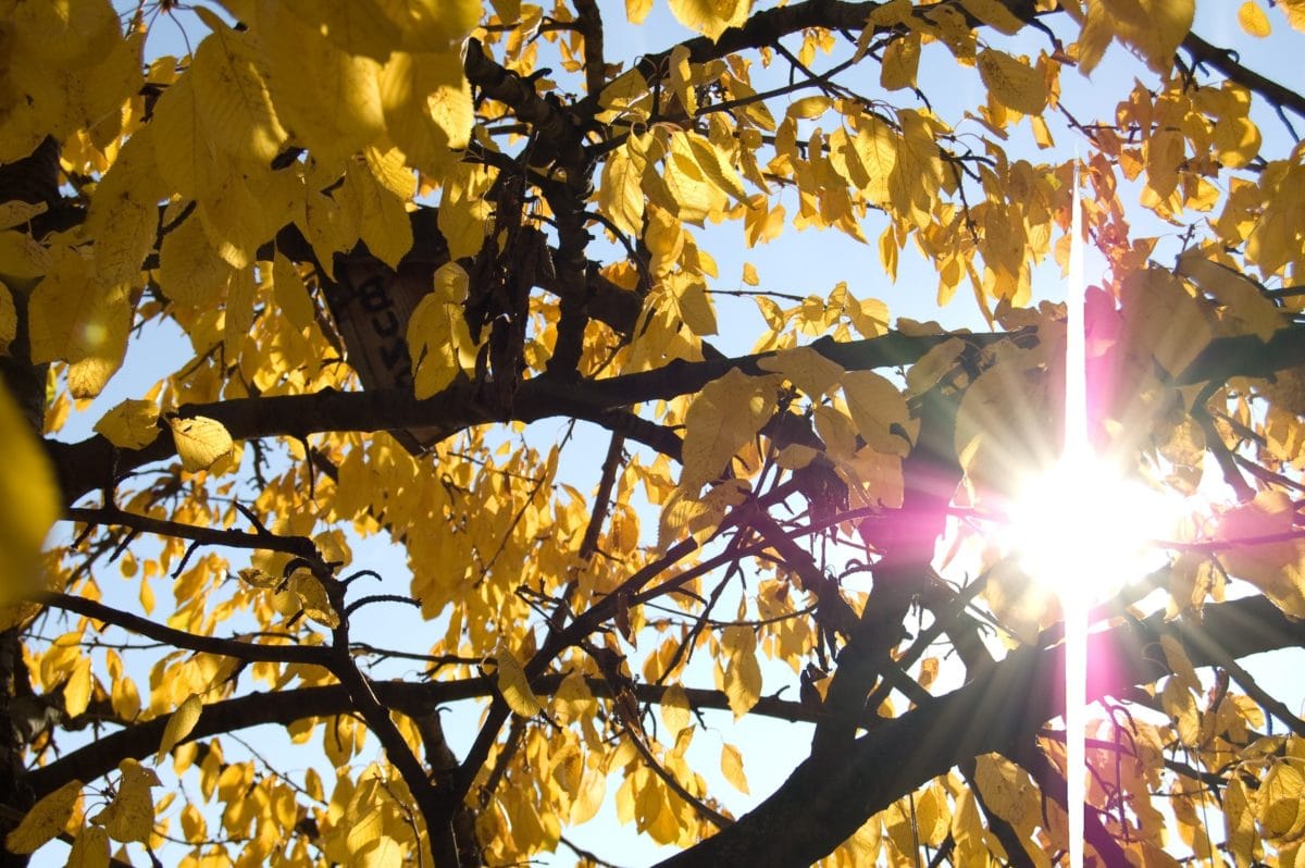 Sunčano s maglom ujutro, temperature do 25°C u Dalmaciji