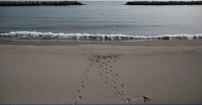 Novi Zeland: Opasnost od tsunamija prošla