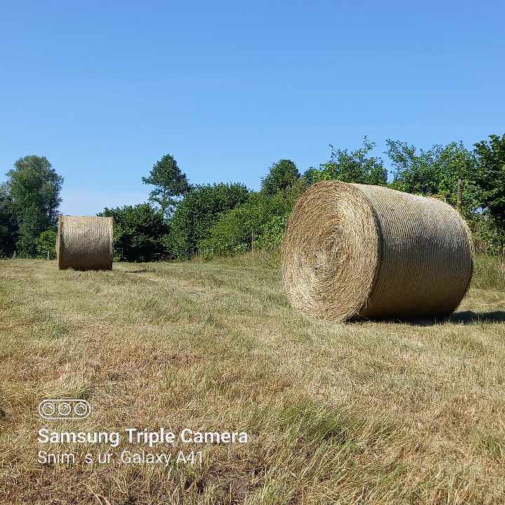 U Iloku održana 20. sjednica Savjeta za Slavoniju, Baranju i Srijem: Vlada najavila nove investicije