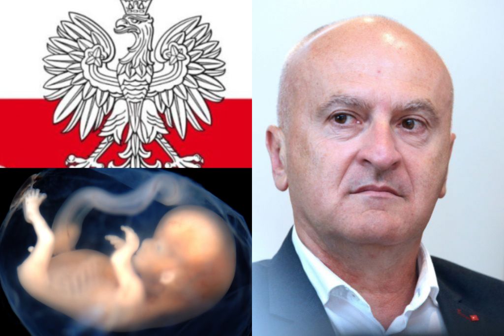 Neki europarlamentarci napadaju Poljsku zbog zaštite nerođenih, među njima i Fred Matić