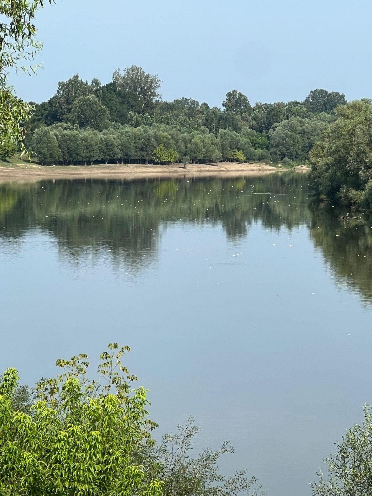 POMOR RIBA Tone mrtve ribe plutaju Savom: ‘Prve lešine smo vidjeli sinoć, još uvijek dolaze nove‘; Doznali smo što se događa