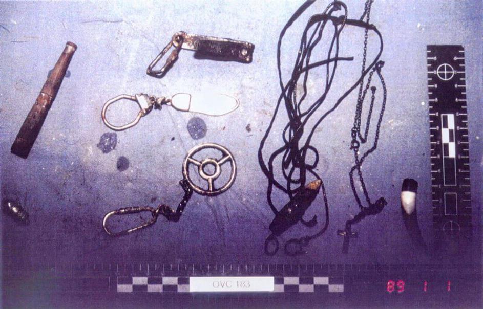 Na Ovčari je ubijala Šešeljeva 'Leva Supoderica'. Srbi su imali 56 paravojnih postrojbi