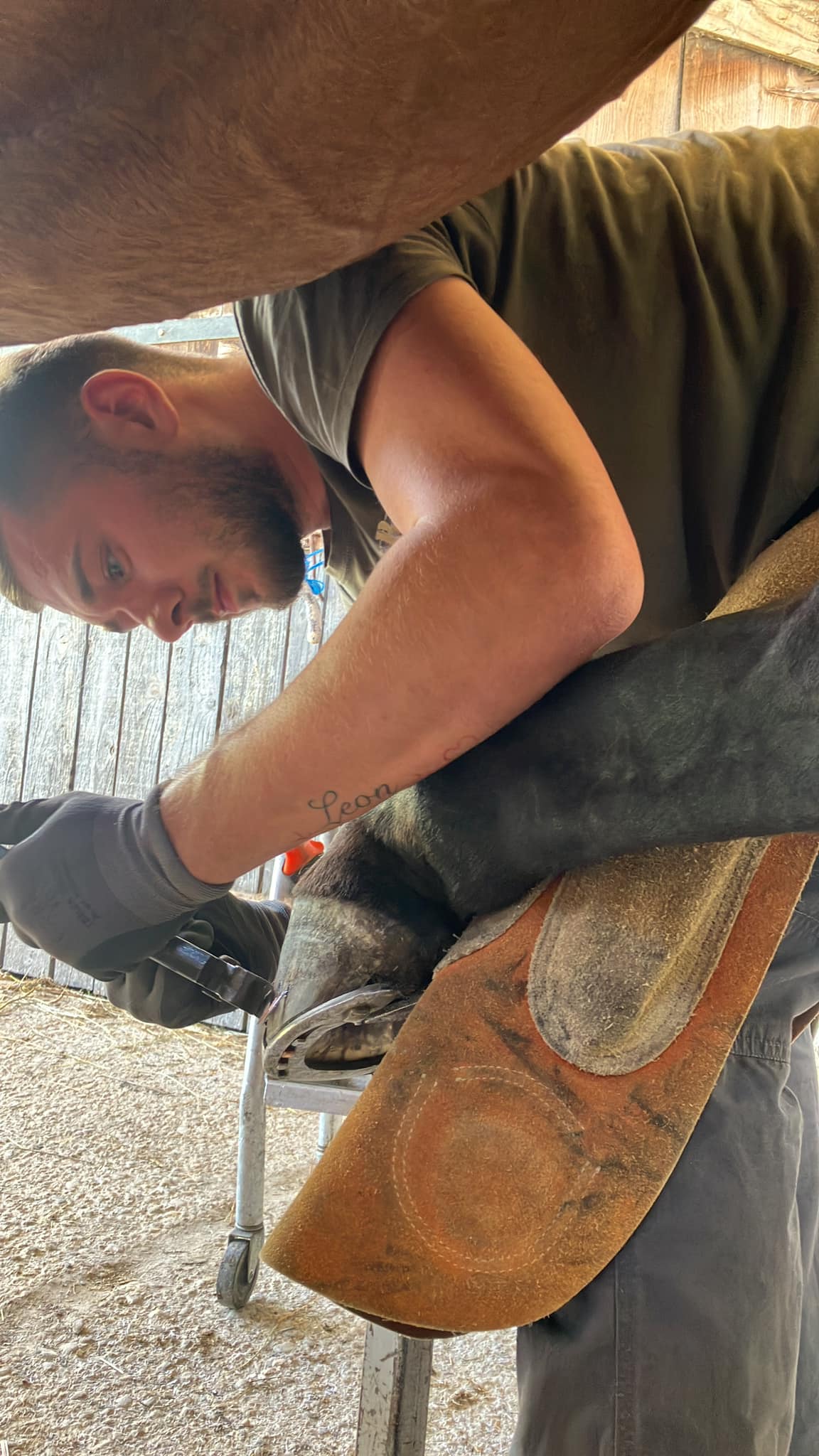 ŠKOLOVAO SE U AMERICI, DA BI POSTAO JEDAN OD RIJETKIH I MLADIH POTKIVAČA KONJA U HRVATSKOJ