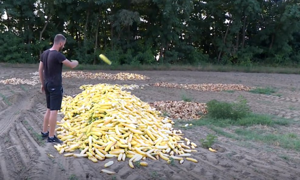 JEFTINIJE NEGO PAKIRATI  Uzgajivači iz Virovitice bacili tone povrća