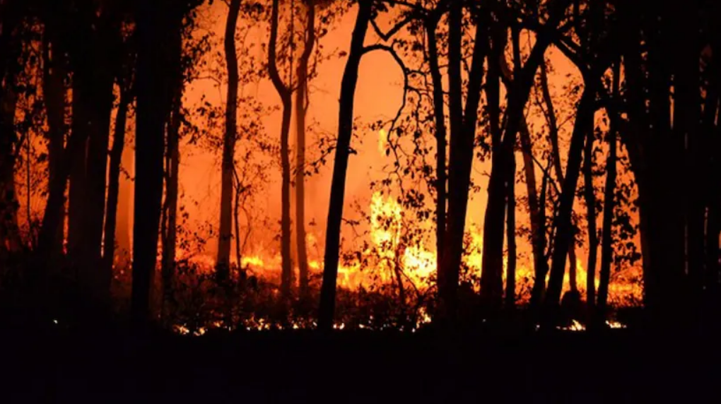 Požar i dalje kod Atene: Stotine vatrogasaca bore se s vatrenom stihijom, jedna osoba poginula