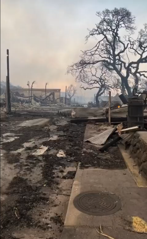 VIDEO Požar razorio grad na Havajima: Ljudi se bacaju u ocean, tisuće evakuirane, vatrena buktinja spalila povijesnu jezgru