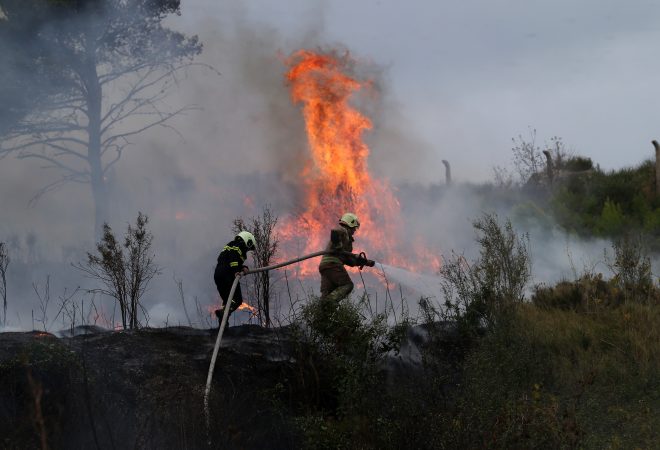 POŽAR BUKNUO NA SJEVERU JADRANA! Vatra prijeti kućama, vatrogasci su brzo stigli na teren