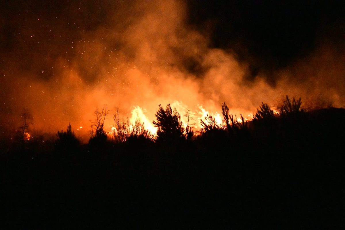 DALMACIJA POD VATROM! Više požara donijelo nemir stanovnicima, jedan vatrogasac ozlijeđen