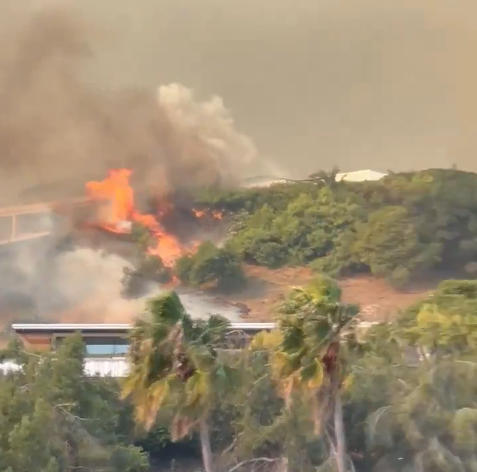 Veliki požar u Los Angelesu uništava luksuzne četvrti, 30.000 evakuiranih dok vatra prijeti slavnim domovima
