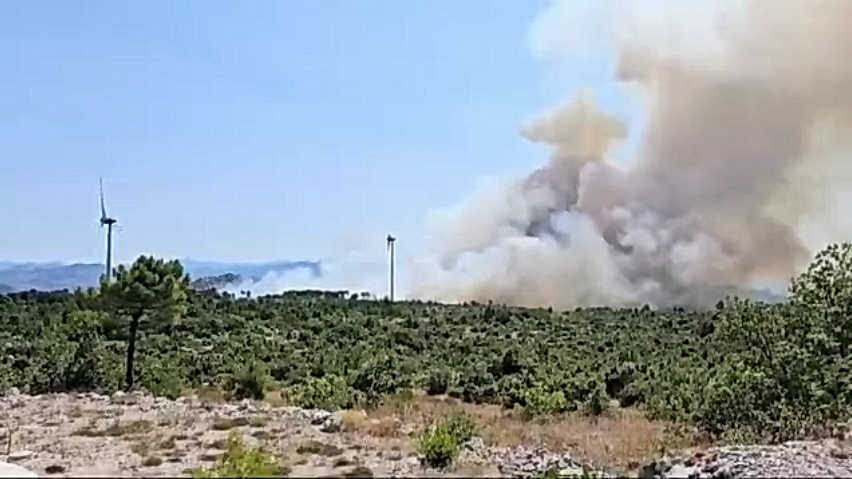 Veliki požar na Pelješcu: Gusti dim prekrio područje, vatrogasci i zračne snage u akciji