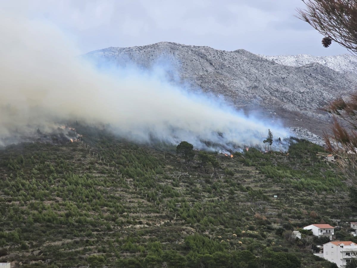 Vatrogasni dozapovjednik: Vatra je ušla u minski sumnjivo područje, postoje spekulacije o početku požara