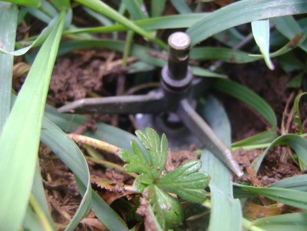 OVO JE MINA KOJA JE UZELA ŽIVOTE PIROTEHNIČARA! Za sobom su ju ostavili četnici, ubija sve u krugu od 30 metara