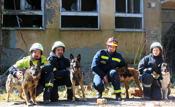 POSEBAN TIM DVD-A PREČKO Pseći vatrogasci mogu nanjušiti ljude zatrpane ispod ruševina: 'U Petrinji su bili jako ozbiljni'