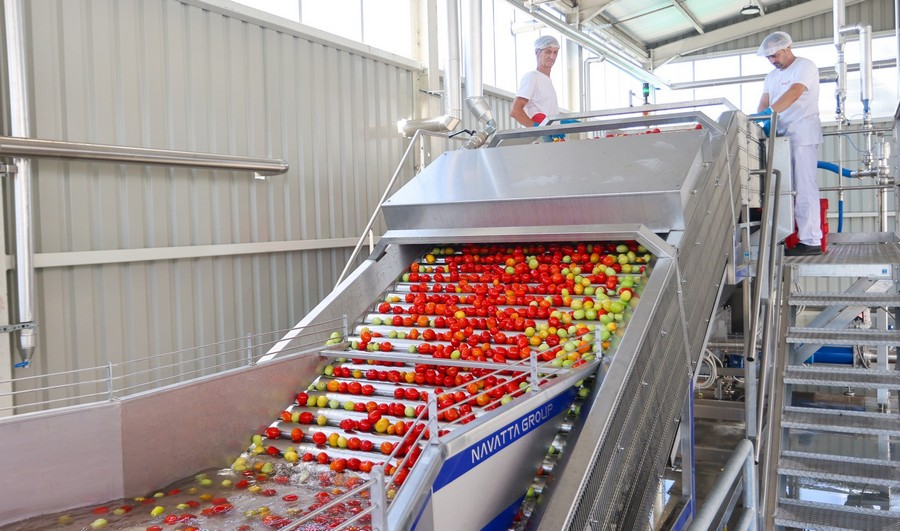 Podravka u Varaždinu otvorila tvornicu za preradu rajčice