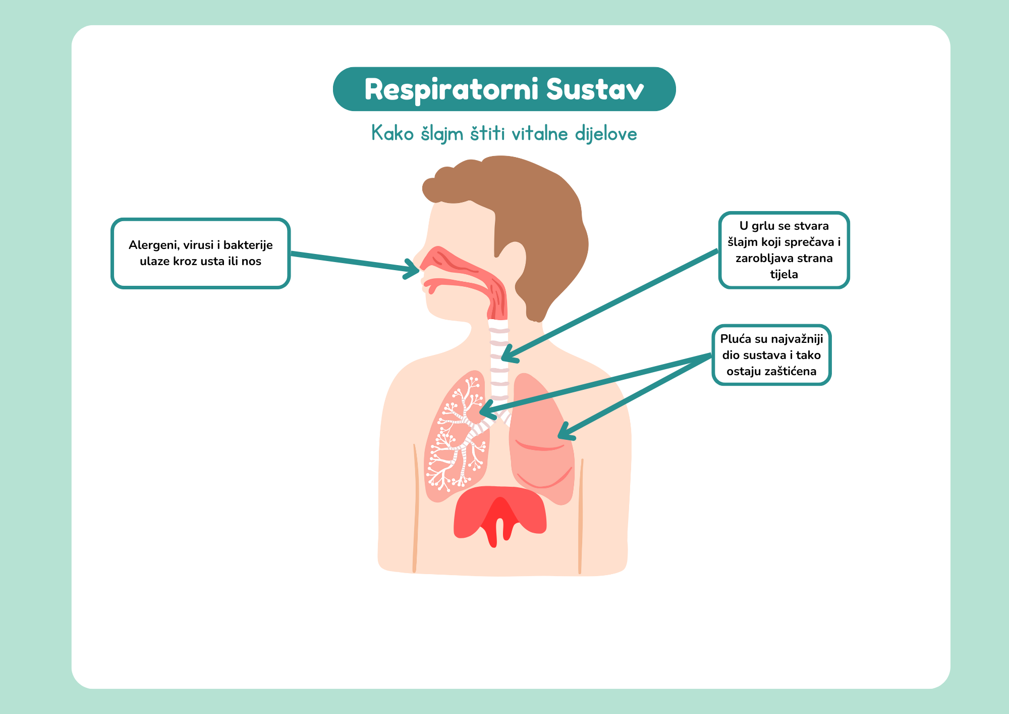 Šlajm – uzroci i kako ga se što brže riješiti