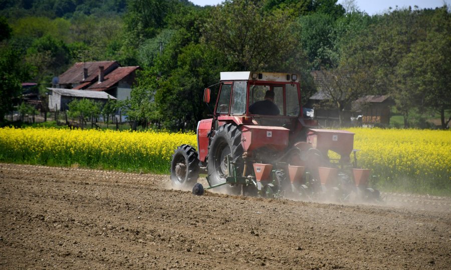 ROBNE REZERVE NA "REZERVI"? Usporeno punjenje strateških zaliha, hrane ima za 60 dana