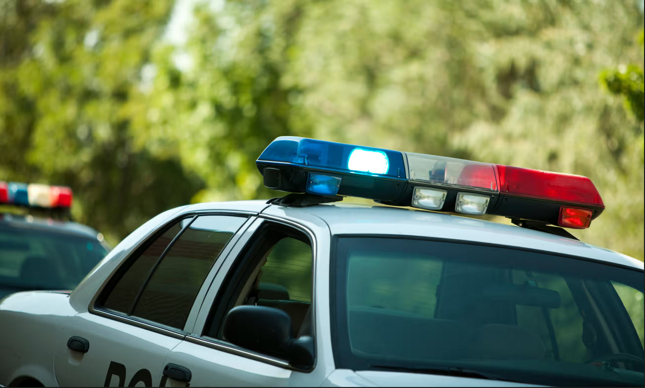 “Moj je tata zločinac iz rata”: Napadač (14) na školu prije horora citirao Baju Malog Knindžu, policajci ga ubili